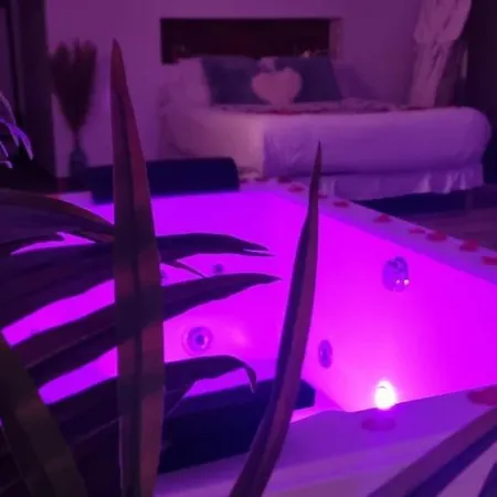De Charme Jacuzzi Et Jardin Privatif Au Calme 10min De Paris * Saint-Prix (Val d'Oise)