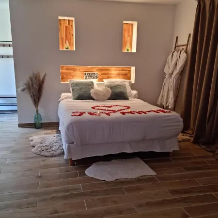 Guest house De Charme Jacuzzi Et Jardin Privatif Au Calme 10min De Paris *