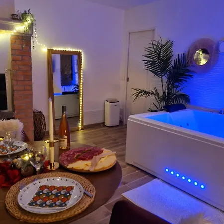 Maison d'hôtes Loft De Luxe Avec Jacuzzi Jardin Privé Près De Paris Et 20min Stade De France Saint-Prix (Val d'Oise)