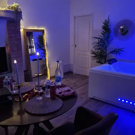 De Charme Jacuzzi Et Jardin Privatif Au Calme 10min De Paris Guest house