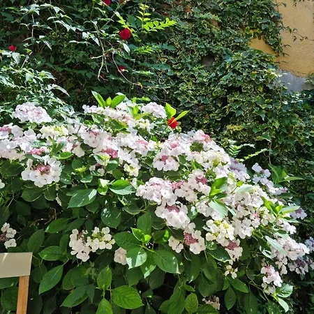 Guest house De Charme Avec Jacuzzi Et Jardin Privatif Paris Au Calme