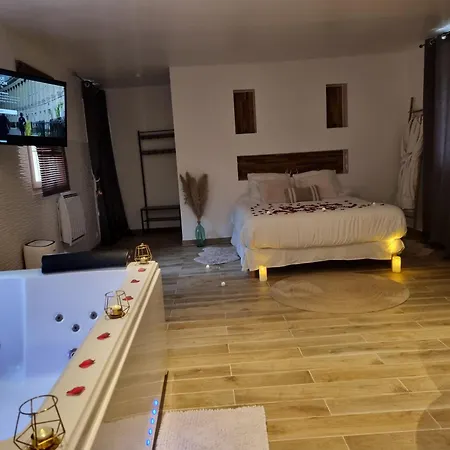 Loft De Luxe Avec Jacuzzi Jardin Prive Pres De Paris Et 20Min Stade De France 4*