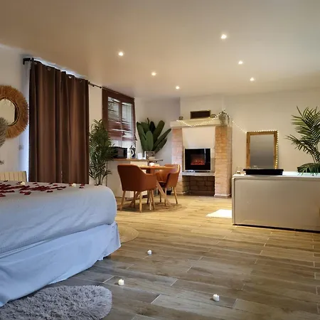 Loft De Luxe Avec Jacuzzi Jardin Privé Près De Paris Et 20min Stade De France Maison d'hôtes Saint-Prix (Val d'Oise)
