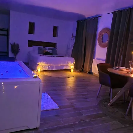 Loft De Luxe Avec Jacuzzi Jardin Prive Pres De Paris Et 20Min Stade De France 4*