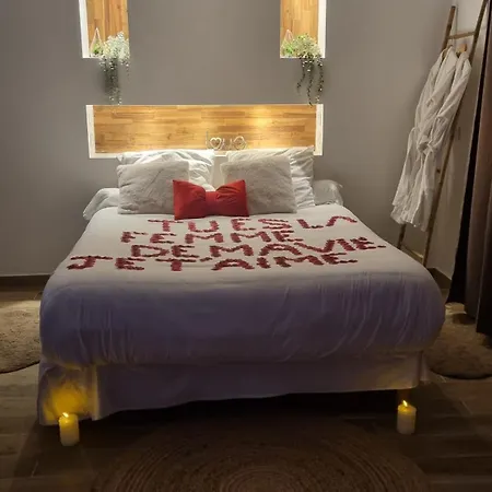 Loft De Luxe Avec Jacuzzi Jardin Privé Près De Paris Et 20min Stade De France